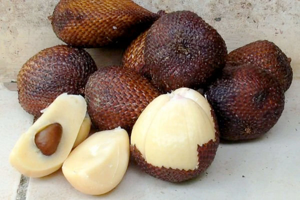 Ăn trái Mây Bali (Salak) là nhớ tới Indonesia