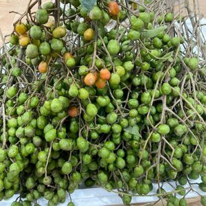 Quả dâu da xoan xanh